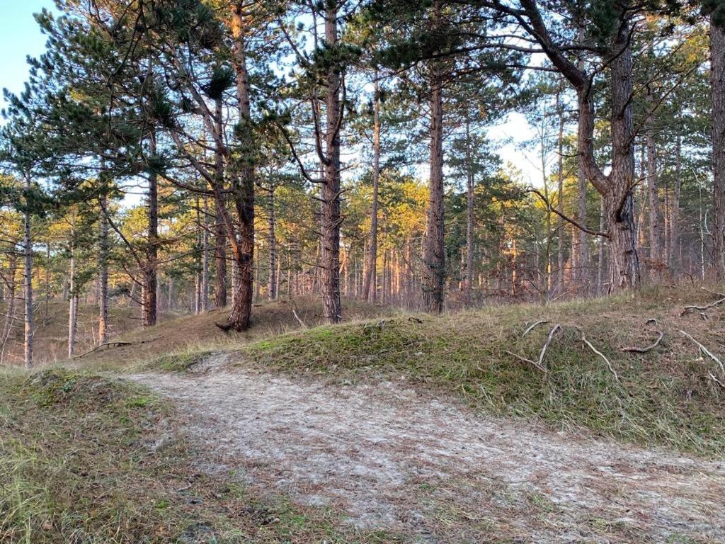 Gezellig Gastenverblijf In Het Centrum Burgh-Haamstede Luaran gambar